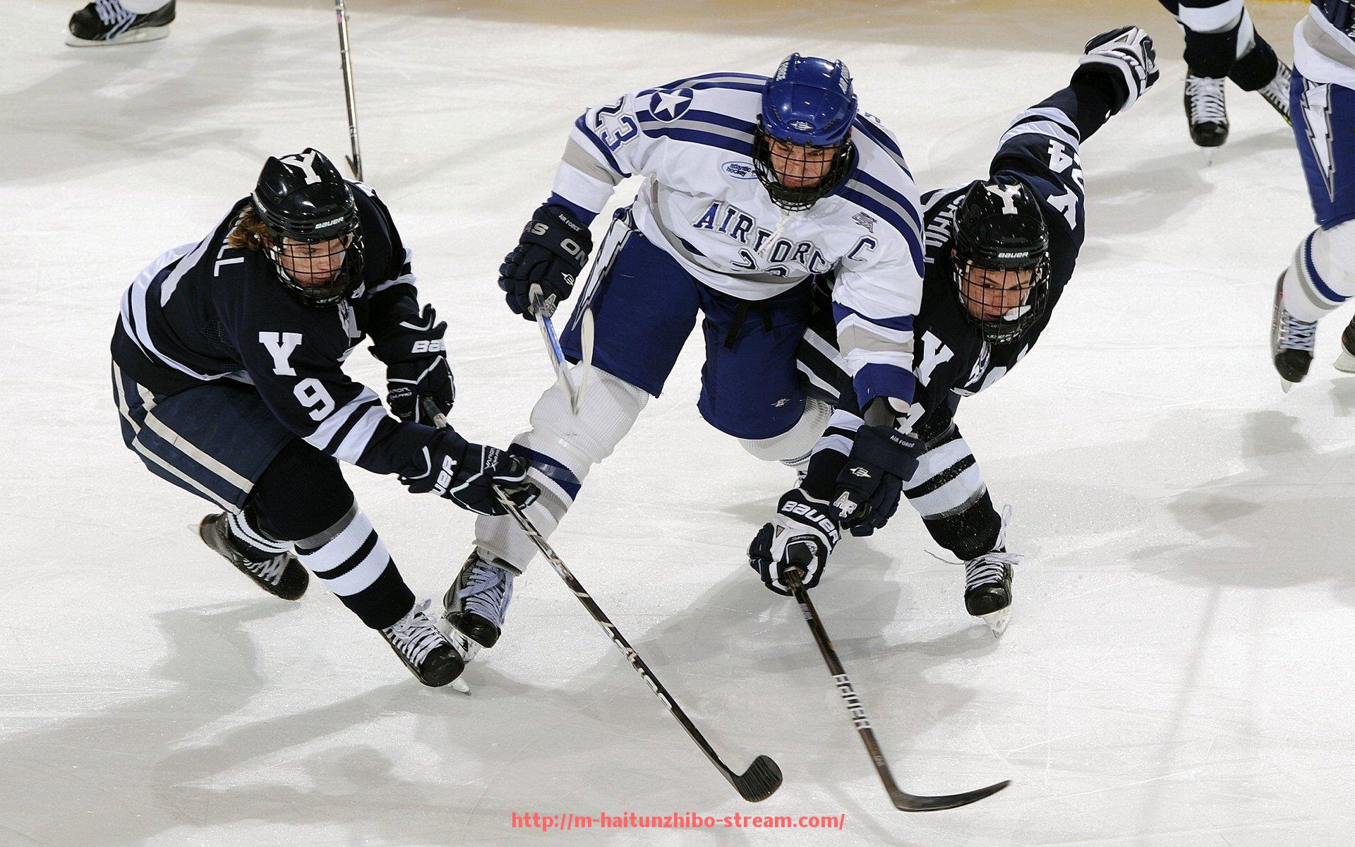 海豚直播-德甲所有球队最新名单及实力分布详解