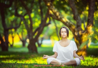 海豚直播-2025世俱杯球队名单公布:豪门阵容与亚洲代表俱乐部完整列表 海豚直播-2025世俱杯球队名单公布:豪门阵容与亚洲代表俱乐部完整列表